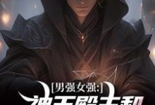 男强女强:神王殿主和女特工闪婚了免费阅读,林晨叶寒霜大结局无弹窗-木头文学
