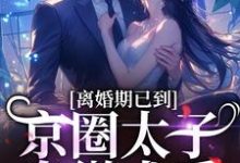 离婚期已到!京圈太子卑微求爱无弹窗沈青瓷席星野最新章节列表-木头文学