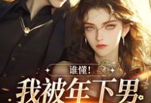 谁懂！我被年下男强取豪夺了完结版秦牧琛虞恩免费阅读大结局-木头文学