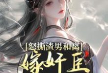 怒撕渣男和离，嫁奸臣高攀不起（沈蕴之宋窈窈）最新章节免费阅读-木头文学