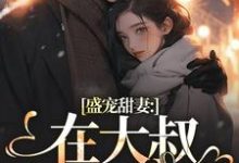 盛宠甜妻：在大叔怀里沦陷（主角安姩盛怀安）完结版免费阅读-木头文学