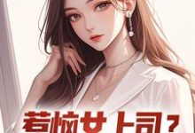 惹恼女上司?我有妙计摆平(张文定)最新章节在线阅读-木头文学