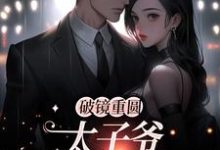 主角是黎念靳宴深的小说破镜重圆:太子爷他太霸道在哪免费看-木头文学