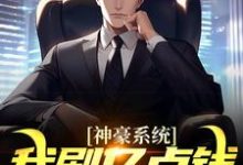跪求主角是何起墨的小说书名叫什么-木头文学