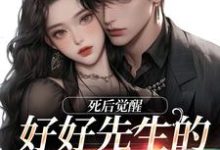 求助这本好好先生的真实面目小说在哪里可以看完结版-木头文学