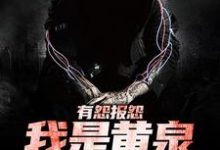 有怨报怨，我是黄泉摆渡人在线看，云渺小说大结局在哪免费看-木头文学