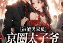 求助这本被渣男辜负，京圈太子爷化身治愈系小说在哪里可以看完结版-木头文学