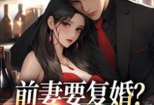 赵青峰白晓星小说前妻复婚让她跪着滚无弹窗赵青峰白晓星最新章节列表-木头文学