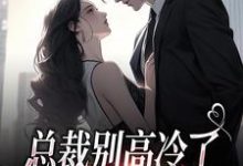 总裁别高冷了，夫人离家出走了（主角林乔谢之南）完结版免费阅读-木头文学