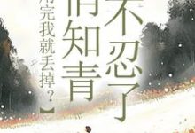 利用完我就丢掉？俏知青她不忍了（许语嫣叶修远）最新章节在线阅读-木头文学
