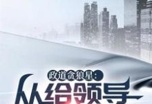 政道贪狼星：从给领导平反开始小说资源求分享，政道贪狼星：从给领导平反开始陈诚楚瑜清在线阅读-木头文学