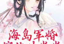 海岛军婚：嫁他生崽崽在线看，沈竹霍锦之小说大结局在哪免费看-木头文学