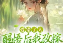 主人公是唐瑈嘉秦斯珩的小说爱错了人，醒悟后我改嫁权王你哭啥免费阅读-木头文学