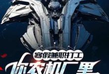 小说寒假兼职打工，你农机厂里开出空天航母？主角季成免费阅读-木头文学