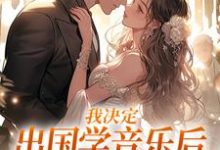 求助这本我决定出国学音乐后，大律师后悔了小说在哪里可以看完结版-木头文学