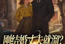 刚结婚丈夫就溜？姐真不吃人！（丁遥香陆舰）最新章节在线阅读-木头文学