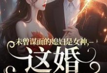 完结版未曾谋面的媳妇是女神，这婚不离了在哪免费看，顾衍掣盛知夏小说在线阅读-木头文学