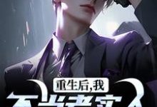 重生后,我不当老实人当浪子!(秦守赵瑞龙)完结版免费阅读-木头文学
