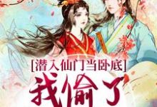 潜入仙门当卧底，我偷了谪仙的心（谢寂玉宋时卿）最新章节在线阅读-木头文学