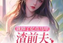 就掉了亿点马甲，渣前夫哭着求复婚精彩章节在线免费阅读（楚骁寒叶幻竹）-木头文学