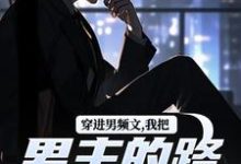 穿进男频文，我把男主的路给堵了！在线看，陆池苏语念小说大结局在哪免费看-木头文学