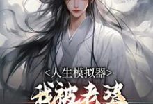 白棋陈北玄在线阅读，人生模拟器：我被老婆逼成世间极境小说完结版章节-木头文学