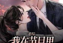 时夕顾淮辰在线阅读，恋综：我在节目里，拽霸总领带强吻小说完结版章节-木头文学