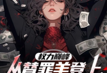 权力巅峰：从替罪羊登上青云之巅热门小说(高峰)在线阅读无弹窗-木头文学