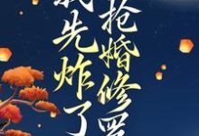 穿越后，我先炸了抢婚修罗场免费阅读(叶楚月轩辕宸)小说免费读最新章节-木头文学