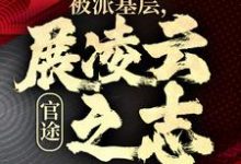 楚昊宇小说免费阅读最新章节列表，官途：被派基层，展凌云之志小说在线看-木头文学