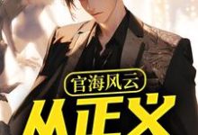 小说官海风云：从正义开始（何强）最新章节在哪看-木头文学