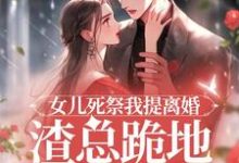 求助这本女儿死祭我提离婚，渣总跪地求别分小说在哪里可以看完结版-木头文学