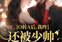 池影霍时晏小说的结局在哪可以看，O转A后，我咋还被少帅强取豪夺了免费阅读完结版-木头文学