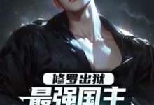 完结版修罗出狱：最强国主身份震撼世界在哪免费看，叶枫小说在线阅读-木头文学