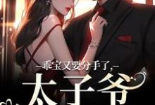 主角是江颜厉霆骁的小说乖宝又要分手了，太子爷求贴贴在哪免费看-木头文学