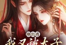 求助这本刚出逃，我又被太子绑回来了小说在哪里可以看完结版-木头文学
