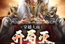 穿越大商,开局灭十万叛军完结版殷寿姬发免费阅读大结局-木头文学