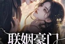 联姻豪门继承人后，我逃婚了！（沈心姿陆仲廷）最新章节在线阅读-木头文学
