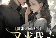主角是沈青漓周晏辰的小说离婚你同意的，又求我复婚干什么在哪免费看-木头文学