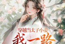 穿越当太子小妾，我一路扶摇直上精彩章节阅读(沈嫣萧逸宸)免费阅读大结局-木头文学