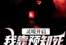 跪求主角是陈冥肖洁的小说书名叫什么-木头文学