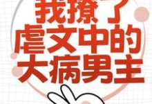 为了活命，我撩了虐文中的大病男主免费阅读，林瑧陆厌大结局无弹窗-木头文学