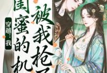 穿越：我闺蜜的机缘被我抢了热门小说(梅久)在线阅读无弹窗-木头文学