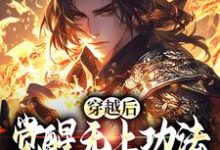穿越后，觉醒无上功法的我要复仇了（宋终）最新章节免费阅读-木头文学