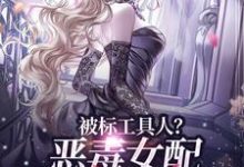 被标工具人？恶毒女配甩男主求自由无弹窗宋以宁陆明聿最新章节列表-木头文学