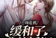 一场危机，缓和了我的婚姻（主角南迦北铮）完结版免费阅读-木头文学