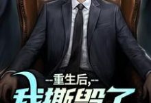 重生后，我撕毁了离婚协议书完结版陆泽白糯免费阅读大结局-木头文学
