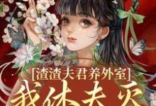 渣渣夫君养外室，我休夫灭妾另高嫁（萧时衍叶宛卿）最新章节在线阅读-木头文学