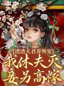渣渣夫君养外室，我休夫灭妾另高嫁（萧时衍叶宛卿）最新章节在线阅读