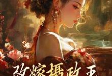 小说改嫁摄政王，我复仇虐渣妹（萧怀沣骆宁）最新章节在哪看-木头文学
